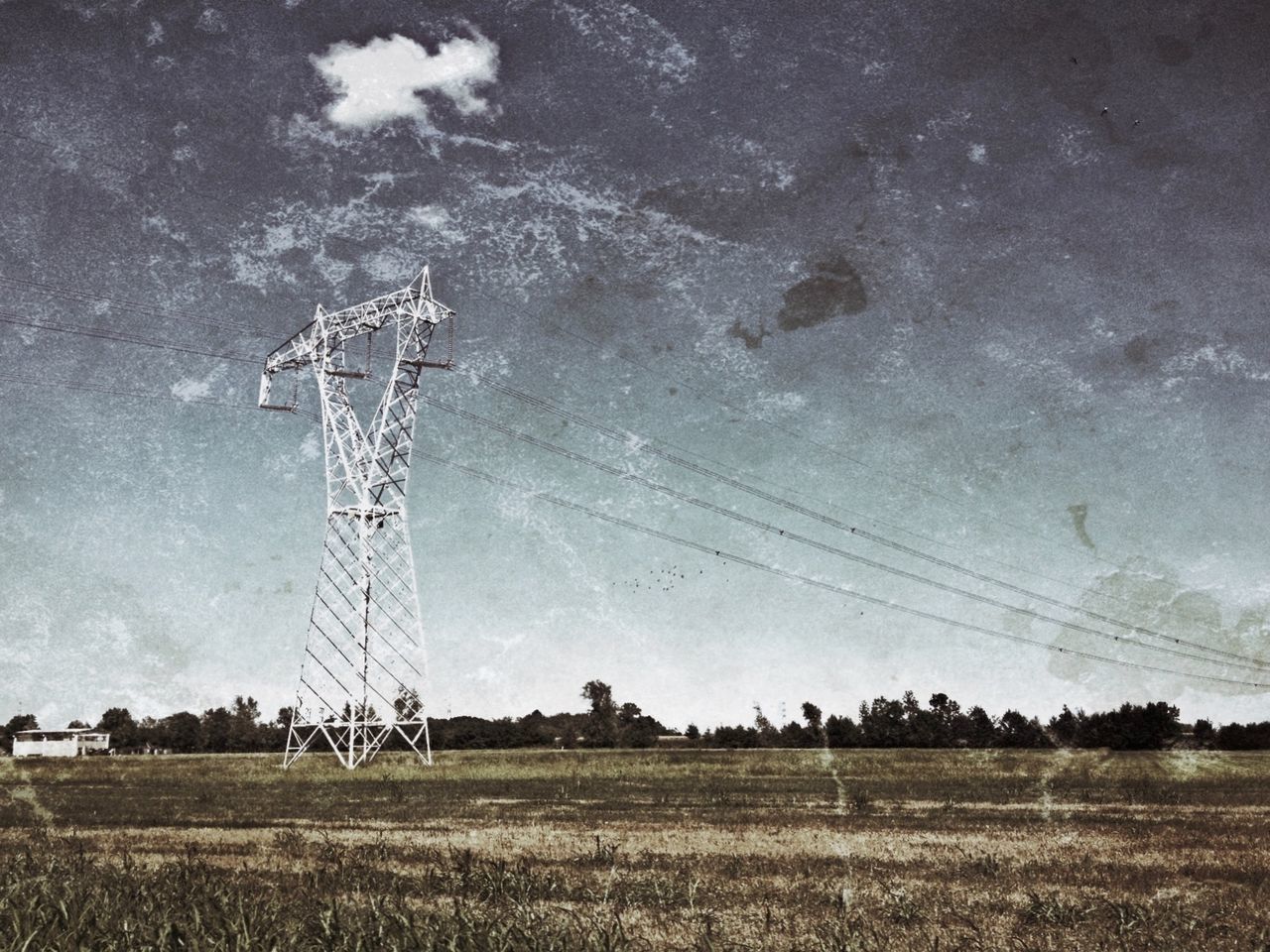 power line, electricity pylon, field, sky, landscape, tranquility, nature, electricity, power supply, tranquil scene, fuel and power generation, tree, cloud - sky, day, weather, scenics, cable, grass, connection, low angle view