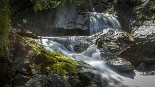 Scenic view of waterfall in forest