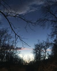 Low angle view of silhouette bare trees against sky