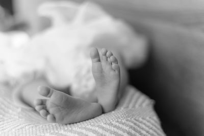 Low section of baby lying on bed