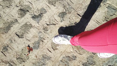 Low section of woman standing on ground