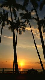 Palm trees on beach at sunset