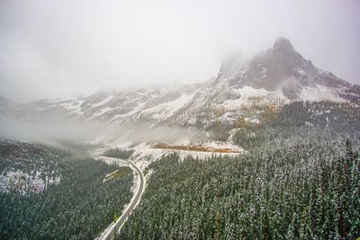 Trees and mountain during winter at cascades national park