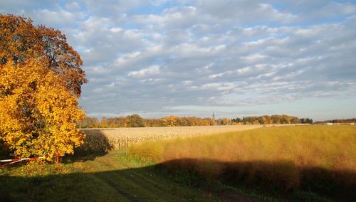 Scenic view of field against sky during autumn