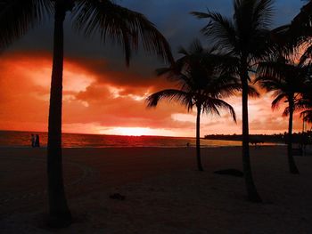 Silhouette palm trees on beach against sky during sunset