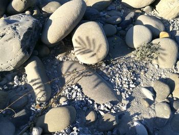 High angle view of stones on beach