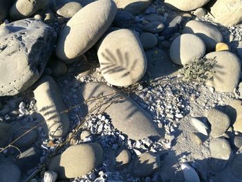 High angle view of stones on beach