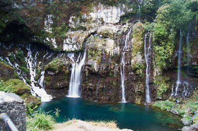 Scenic view of waterfall in forest