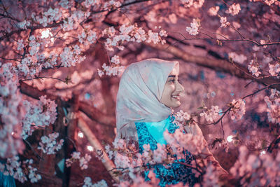 Low angle view of cherry blossoms on pink flowering tree