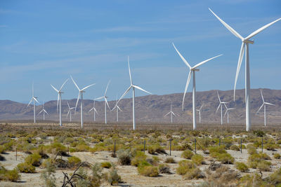 Wind turbines on field against sky