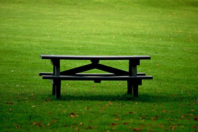 Empty bench in park