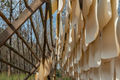 Low angle view of clothes hanging on roof