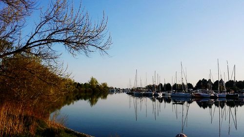 Scenic view of lake against clear blue sky