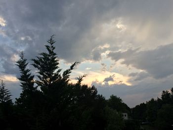 Low angle view of trees against cloudy sky