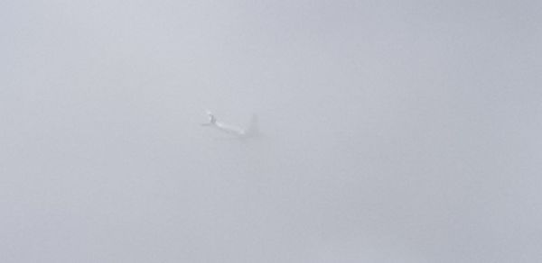 High angle view of bird flying in snow