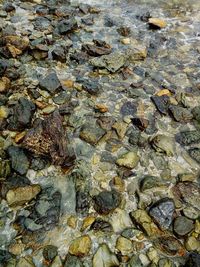 Full frame shot of water flowing through rocks