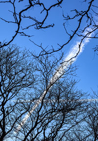 Low angle view of silhouette bare tree against blue sky