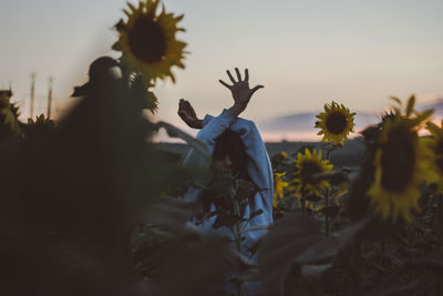 Woman with arms raised amidst blooming sunflowers during sunset