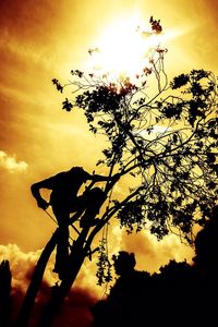 Low angle view of silhouette tree against orange sky