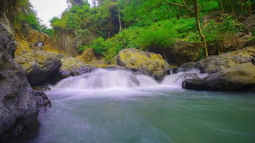 Scenic view of waterfall in forest