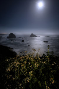 Scenic view of sea against sky at night