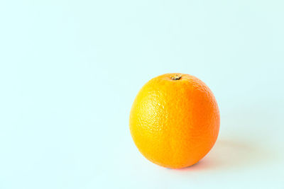 Close-up of orange against white background