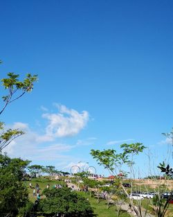 Scenic view of palm trees against blue sky