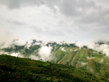 Lush green tropical rain forest mountain with rain cloud cover during the rainy season