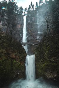 Scenic view of waterfall in forest