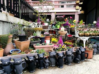 Potted plants at market stall