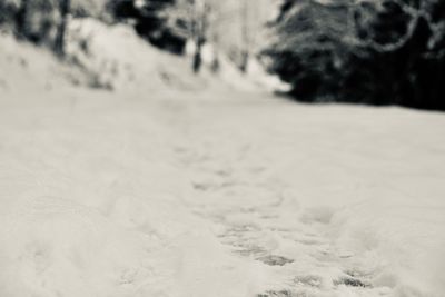 Close-up of snow covered land