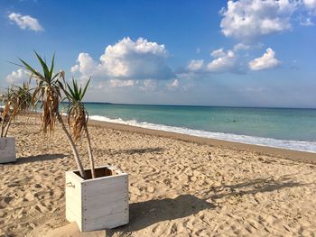 Scenic view of beach against sky