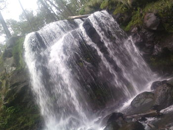 Low angle view of waterfall in forest