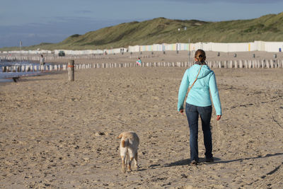 Full length of dog standing on shore
