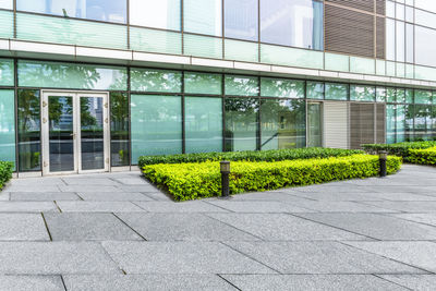 Footpath by modern building in city