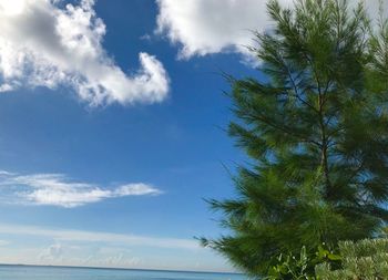 Low angle view of blue sea against sky