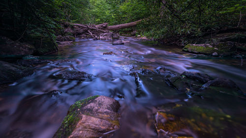 River flowing through rocks in forest