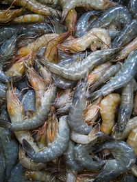 Full frame shot of fish for sale in market