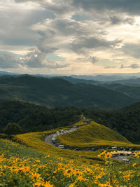 Scenic view of landscape against sky during sunset