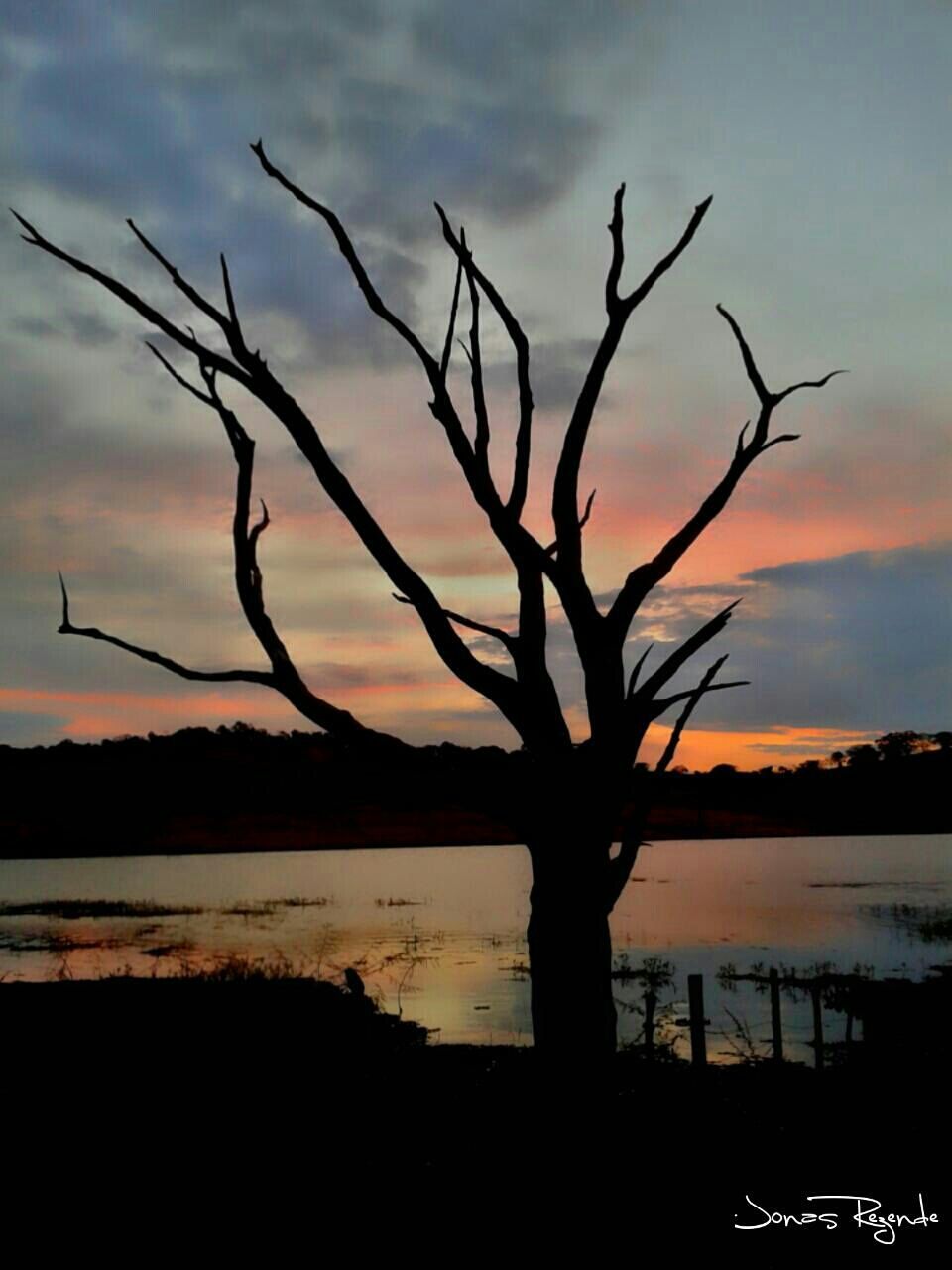 sunset, silhouette, water, tranquil scene, tranquility, scenics, sky, beauty in nature, bare tree, nature, branch, lake, idyllic, cloud - sky, tree, sea, lakeshore, reflection, tree trunk, cloud