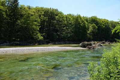 Scenic view of river flowing in forest against clear sky