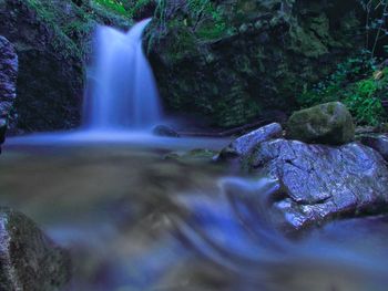Scenic view of waterfall in forest
