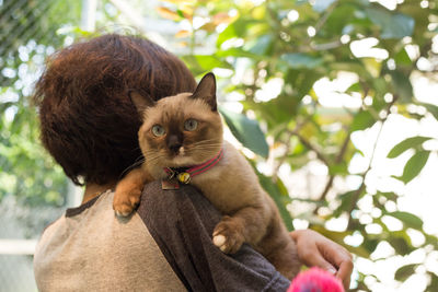 Close-up of woman with cat standing against tree