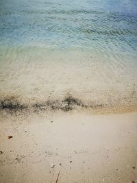 High angle view of beach