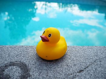 High angle view of rubber duck on poolside