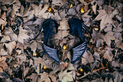 High angle view of autumn leaves on field