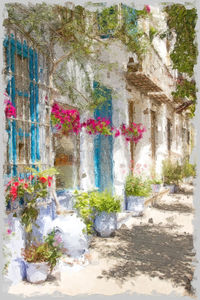 Multi colored flowers on wall of building