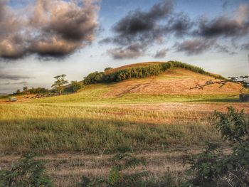 Scenic view of agricultural field against sky
