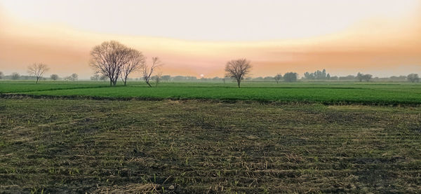 Scenic view of field against sky during sunset