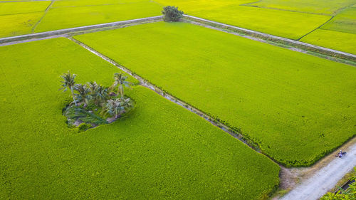 High angle view of soccer field